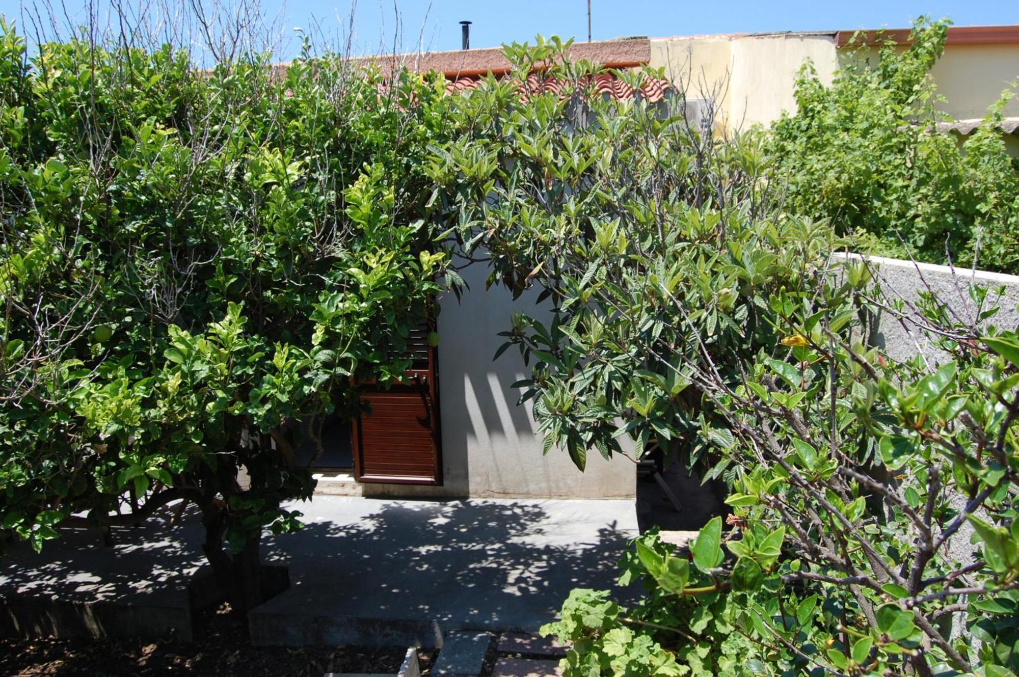 Andrea E Valentina Bed and Breakfast S'archittu Cuglieri Eksteriør billede